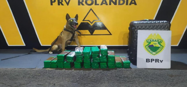  Casal utiliza bebê para enganar policiais, mas equipe da PRE apreende 66 tabletes de maconha