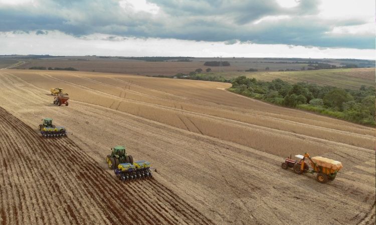 Agro em Destaque: Paraná prevê safra recorde de soja e consolida liderança na exportação de frango