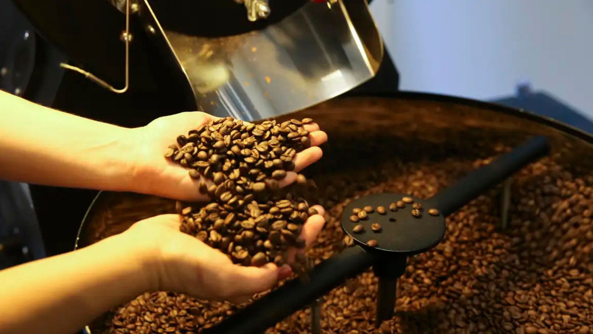 ALÍVIO NA BALANÇA COMERCIAL: EUA REDUZEM TARIFAS PARA CARNE, CAFÉ, LARANJA E PRODUTOS BRASILEIROS