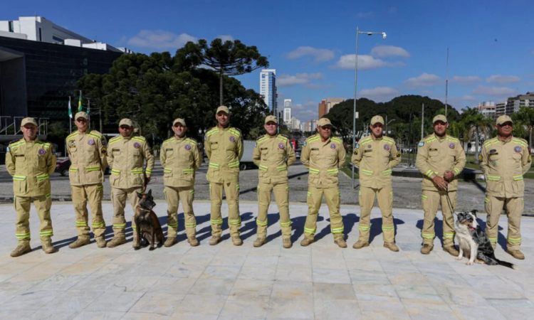 Bombeiros do Paraná que atuaram em missão humanitária na Venezuela são homenageados no Palácio Iguaçu