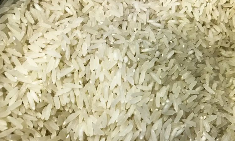 Brasil vai doar 10 toneladas de arroz à Colômbia após terremoto