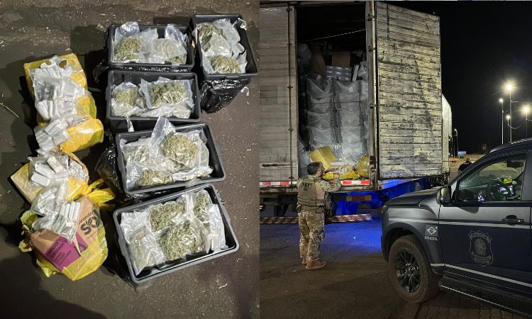 Cães farejadores da PRF são decisivos na apreensão de 87 kg de drogas em Santa Tereza do Oeste