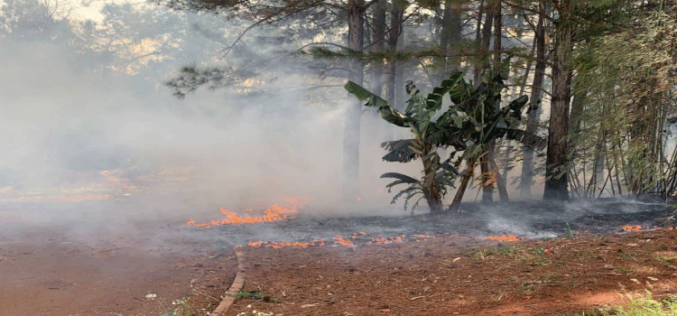 CASCAVEL: Grande incêndio em vegetação levanta grande nuvem de fumaça no final da Rua Tupis.
