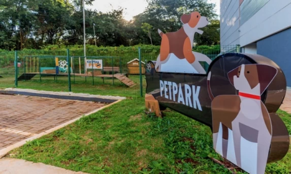 Chegada da primavera exige cuidados redobrados com a saúde e segurança de cães e gatos; especialistas orientam tutores
