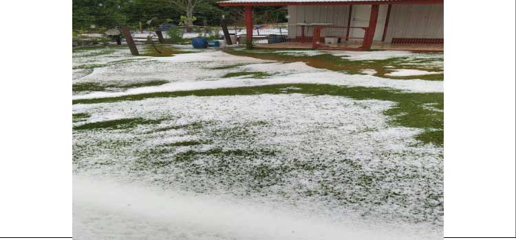 CLIMA: Chuva de granizo assusta moradores da zona rural de Guaraniaçu e Diamante do Sul