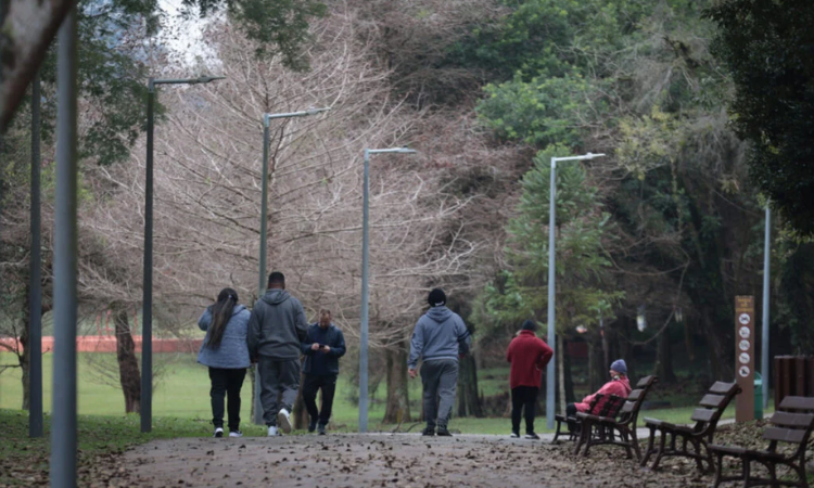 Clima: Massa de ar frio traz temperaturas próximas de 0°C e risco de geada para o Paraná