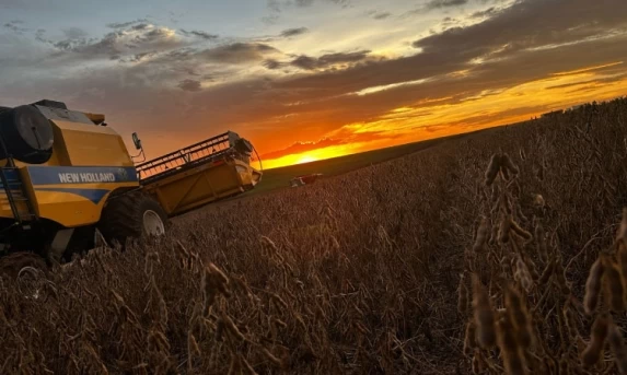 Colheitas de soja e milho ultrapassam 95% das áreas plantadas no Paraná