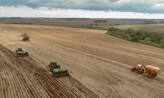 Com fim do vazio sanitário, plantio de soja começa em 5,8 milhões de hectares no Paraná