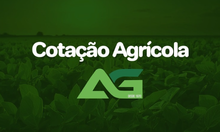 Cotações Agrícolas para esta Quinta-feira 09 de Janeiro 2025.