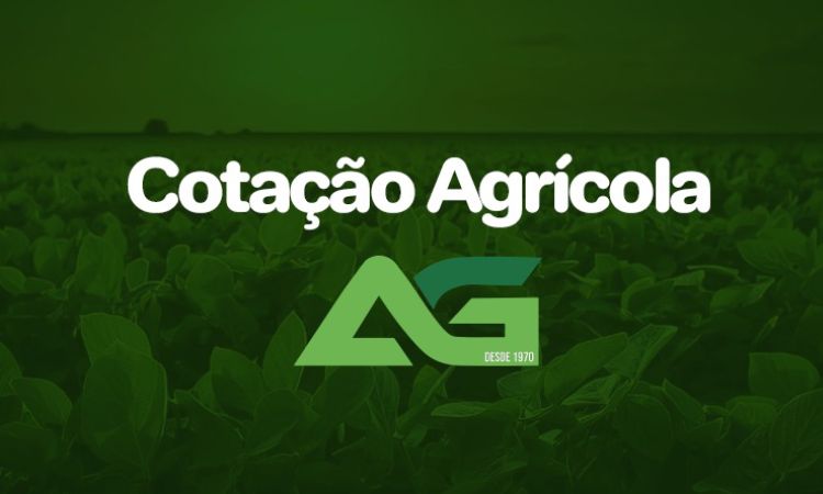 Cotações Agrícolas para esta Quinta-feira 25 de Junho de 2026