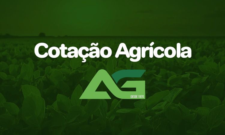 Cotações Agrícolas para esta Segunda-feira 08 de Setembro de 2025