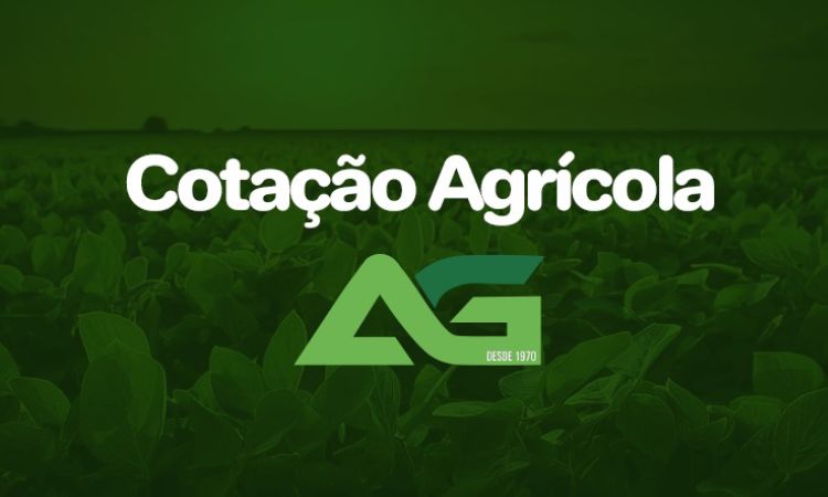 Cotações Agrícolas para esta Segunda-feira 09 de Fevereiro de 2026