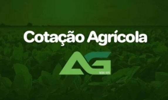 Cotações Agrícolas para esta Segunda-feira 13 de Abril de 2026