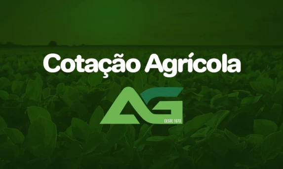 Cotações Agrícolas para esta Terça-feira 17 de Junho de 2025