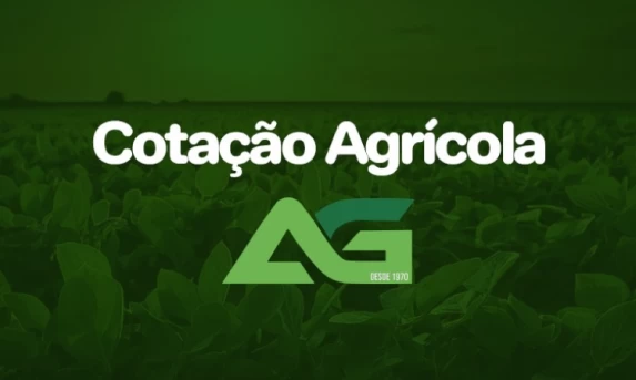 Cotações Agrícolas para esta Sexta-feira 21 de Fevereiro 2025.
