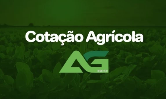 Cotações Agrícolas para esta Sexta-feira 31 de Julho de 2026