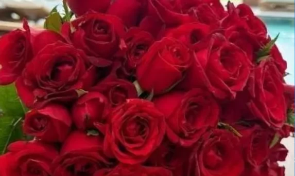 DIA DA MULHER DEVE ELEVAR VENDAS DE FLORES EM 6% EM 2026