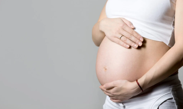 Direito: TST garante estabilidade para grávidas em contratos temporários seguindo entendimento do Supremo