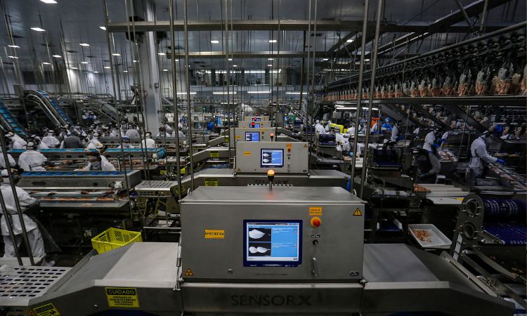 ECONOMIA | Paraná Bate Recorde Histórico de Emprego com Mais de 26 Mil Vagas Disponíveis nas Agências do Trabalhador