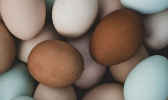 BC informa que teto para rotativo vale a partir desta quarta-feira