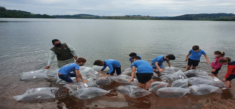 EDUCAÇÃO AMBIENTAL: Rio Iguaçu recebe mais 310 mil peixes nativos em ação do Estado