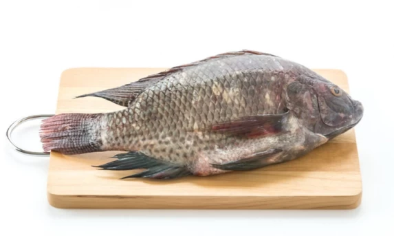 Gastronomia: Tilápia consolida-se como a escolha preferida dos consumidores durante o período da Quaresma
