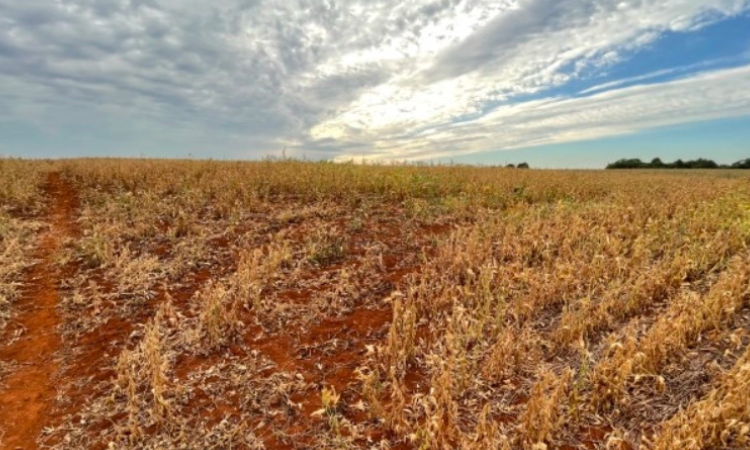 Governo e Congresso fecham acordo de R$ 100 bilhões para renegociação de dívidas de agricultores