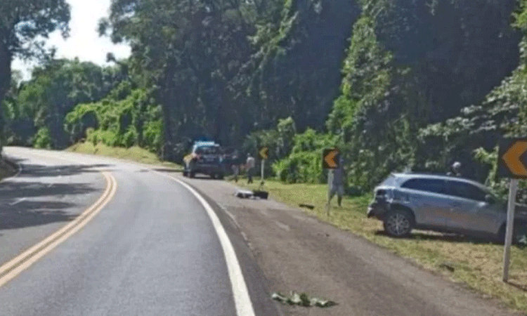 GUARANIAÇU: Acidente no Km 508 da Rodovia BR-277 deixa quatro pessoas feridas