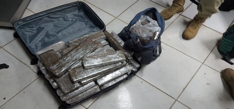 GUARAPUVA: PRF prende homem transportando drogas em ônibus na BR 277.