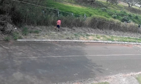 Homem é preso por crime ambiental ao colocar fogo em vegetação em Cascavel
