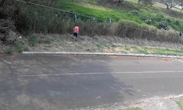 Homem é preso por crime ambiental ao colocar fogo em vegetação em Cascavel