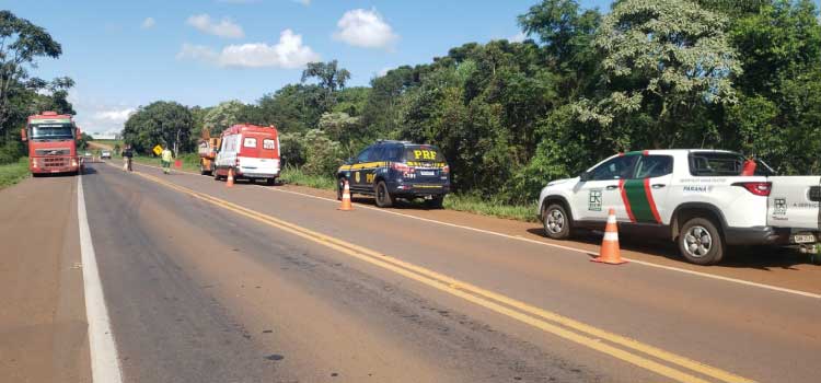 IBEMA: Colisão frontal deixa quatro vítimas feridas no Km 541 da BR 277.