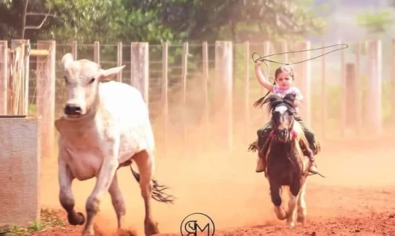 IBEMA: Menina ferida com coice de cavalo segue internada no HU e seu estado de saúde é estável.