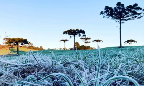 IDR-Paraná e Simepar iniciam serviço Alerta Geada na segunda-feira