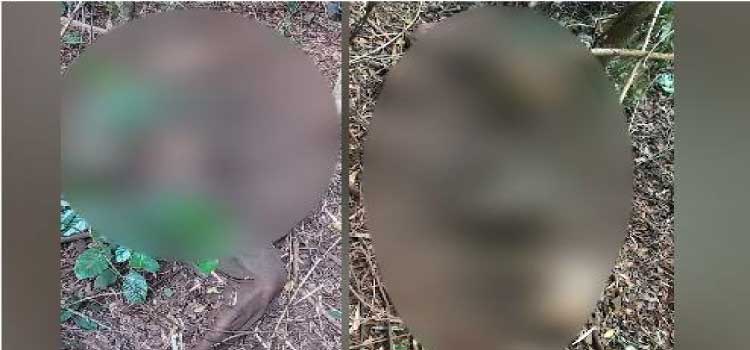 JESUÍTAS: Cadáver, em avançado estado de decomposição, é encontrado
