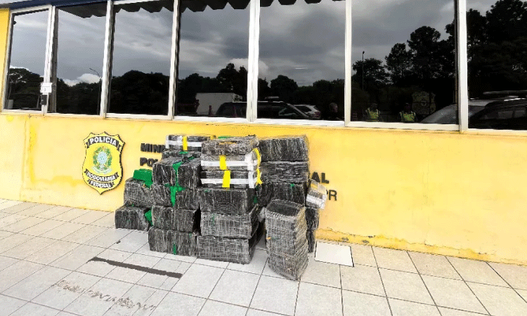 Mais de meia tonelada de maconha é apreendida na BR-277.