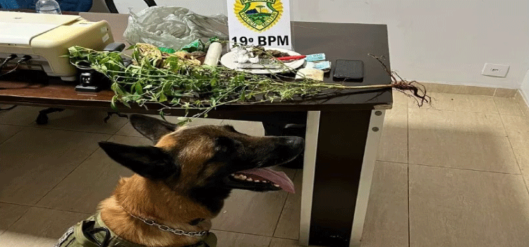 MARECHAL CÂNDIDO RONDON: Homem é preso com drogas e dinheiro.