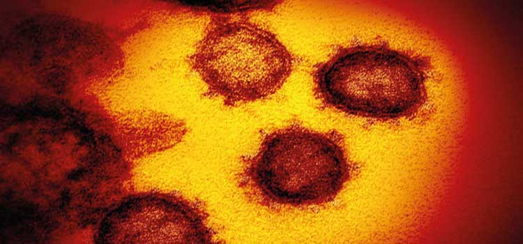 PANDEMIA: Brasil registra 23,7 milhões de casos de covid-19