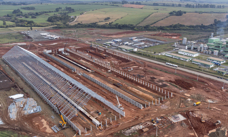 Paraná alavanca industrialização da soja no País com investimentos bilionários