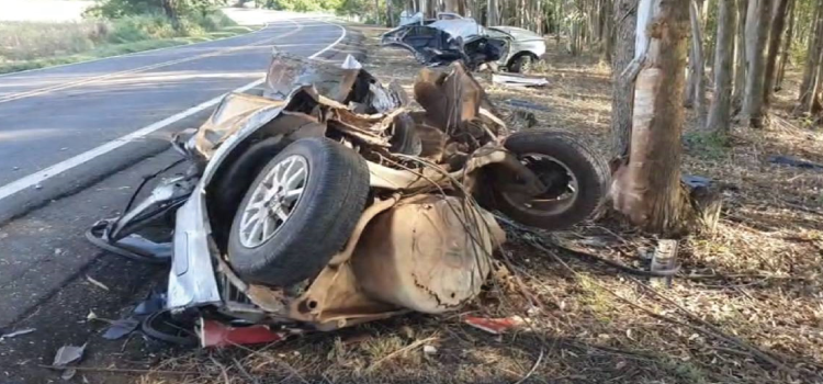 PARANÁ: Carro se parte ao meio após condutor perder o controle e bater contra eucaliptos na PR-082