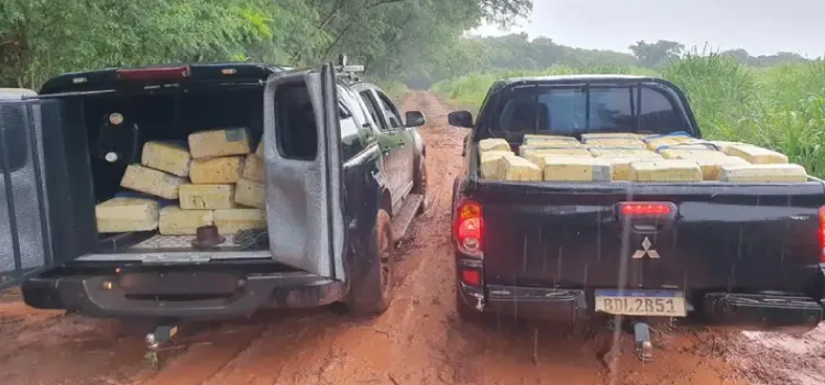 PARANÁ: PF apreende 910 kg de maconha encontrada em mata de Santa Helena.