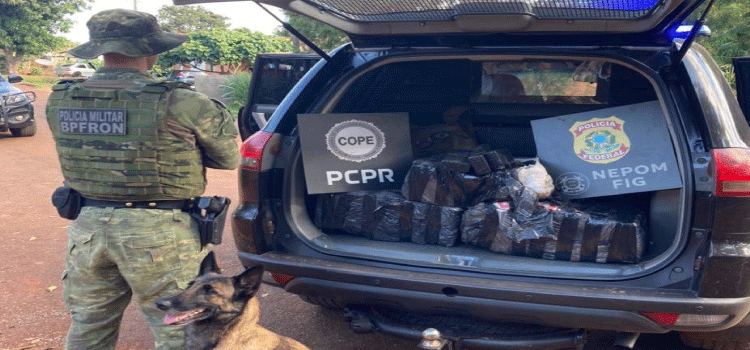 PARANÁ: Polícia Federal, BPFron e COPE apreendem 60 kg de maconha em Santa Helena.