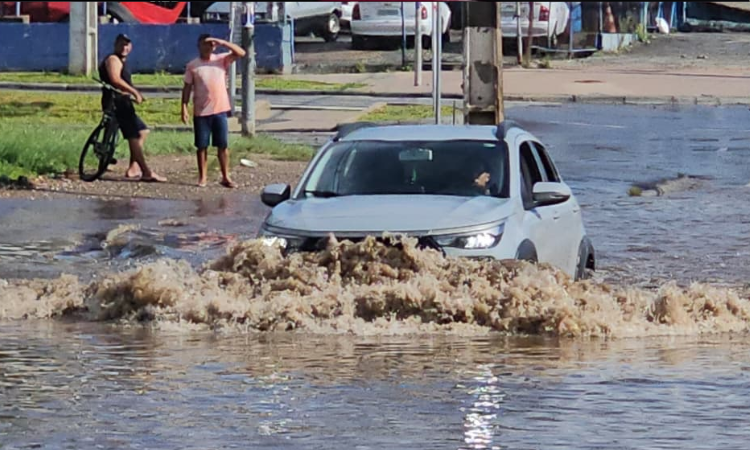 Período de chuvas acende alerta para o risco de leptospirose; Paraná já soma 12 mortes em 2026