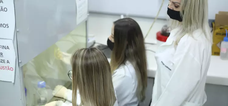 Pesquisa da Unioeste busca bioativos naturais contra bactérias, fungos e vírus