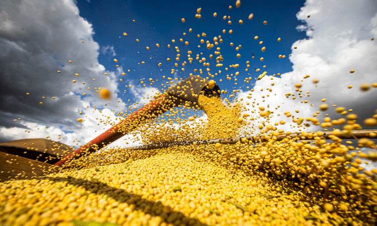 PIB do agro recua no 3º trimestre de 2024; no ano, queda chega a 3,5%