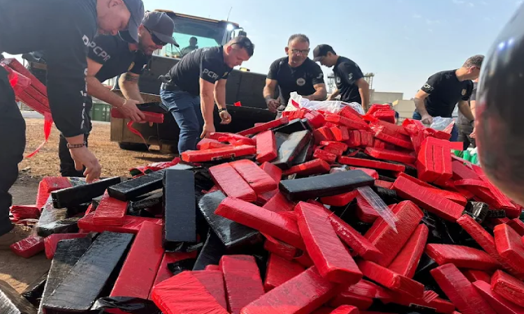 Polícia Civil incinera mais de 6 toneladas de drogas em Cascavel.