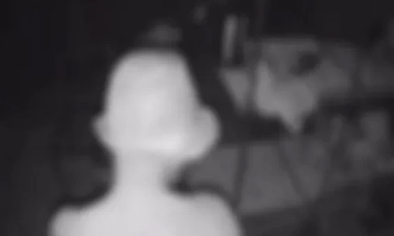 Polícia Civil instaura inquérito para apurar abuso sexual contra galinhas em Cascavel