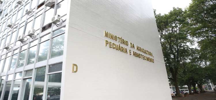 POLÍTICA: Brasil negocia compra de fertilizantes na Jordânia, Egito e Marrocos.