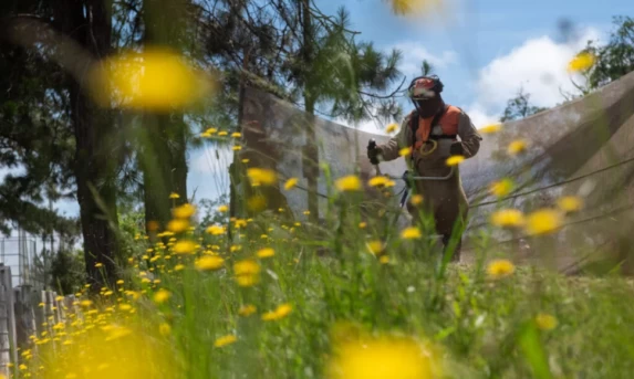 Ponta Grossa: Prefeitura aplica multas pesadas que ultrapassam R$ 100 mil para proprietários de terrenos abandonados