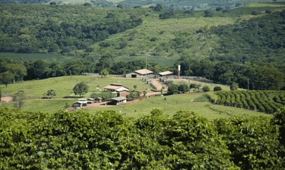 Prazo de entrega do ITR 2024 termina 30 de setembro.